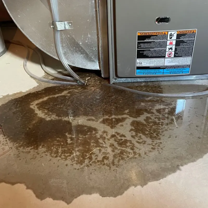 Pipe Burst and Leak Restoration in Birchwood, MN